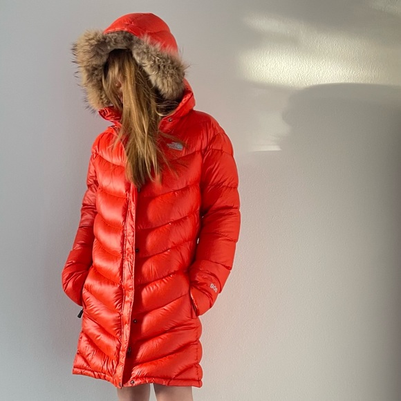 The North Face Summit 90 Hoodie Puffy 